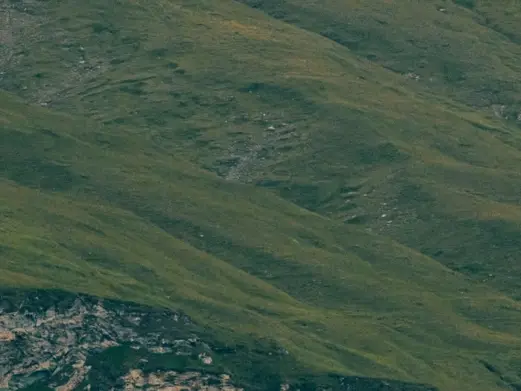 Mosaik Sommer 2024 2