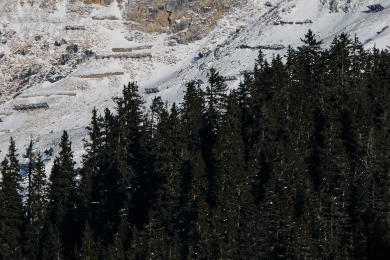 4 CROP Media 20230116 357A8995 Final©2023 Julien L. Balmer, All Rights Reserved