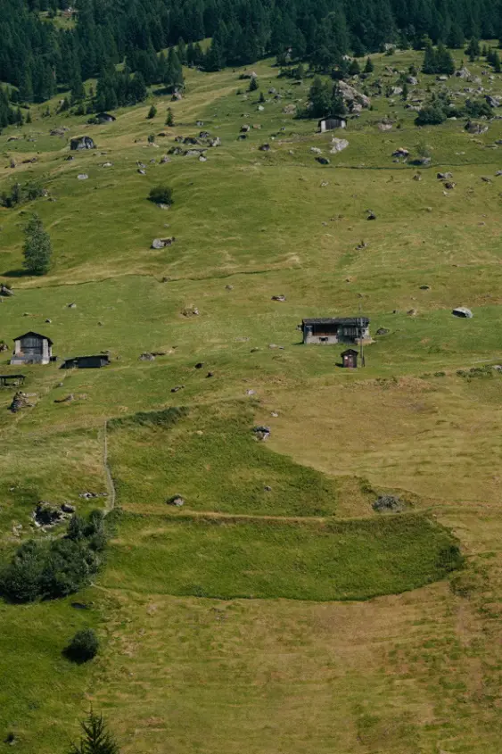 Small Hillside Summer